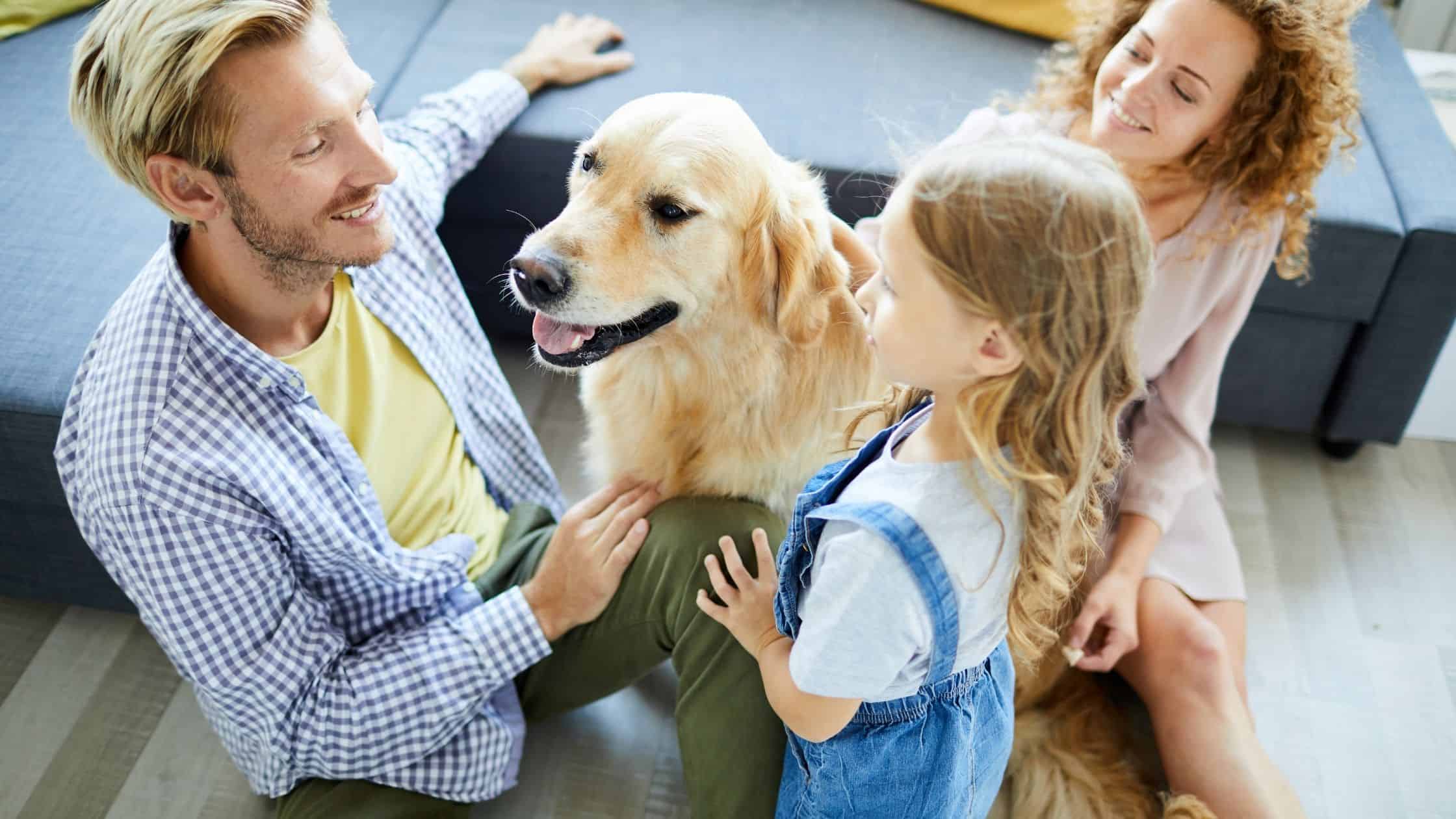 Best Dog Breeds for Families with Kids: Your Guide to the Perfect Furry Friend